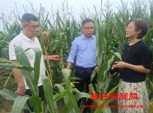 案777777777777.png 案777777777777.png