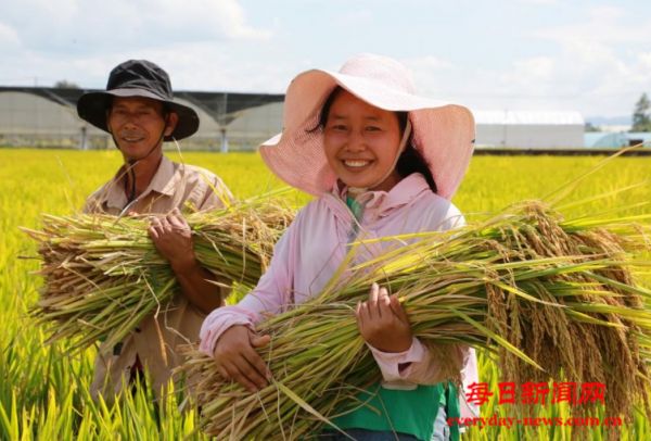 中国人寿财险助力云南打好高原特色农业王牌