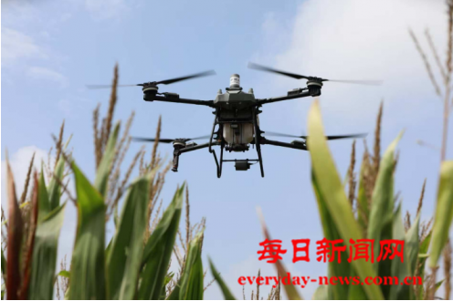 去2222222222222222.png 去2222222222222222.png