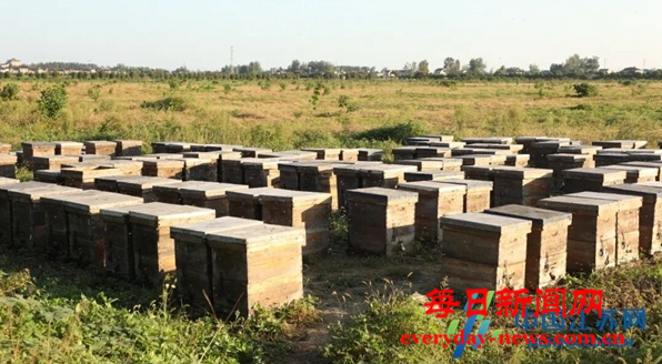 案1111111111.png 案1111111111.png