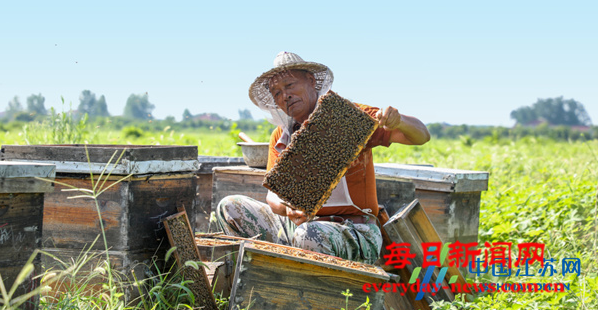 案3333333333333.png 案3333333333333.png