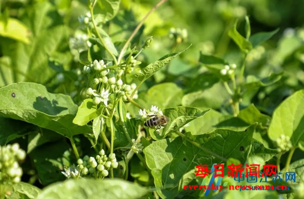 案4444444444.png 案4444444444.png