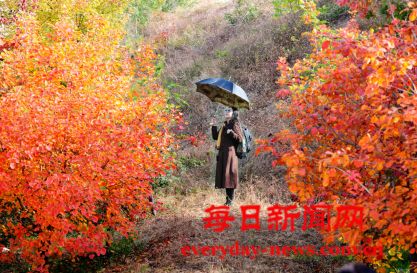 万荣：汾河岸畔景色美