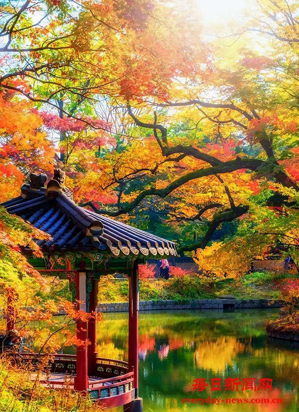 著名作家杨杨荣获全国小小说大奖