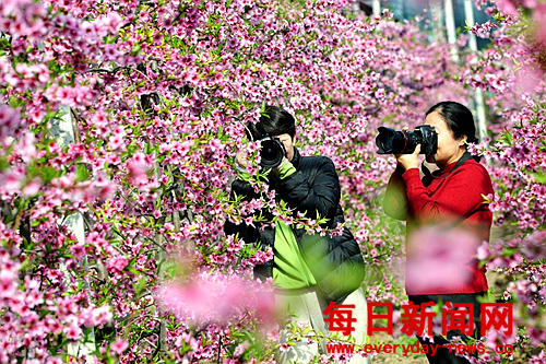 图片4.png 图片4.png