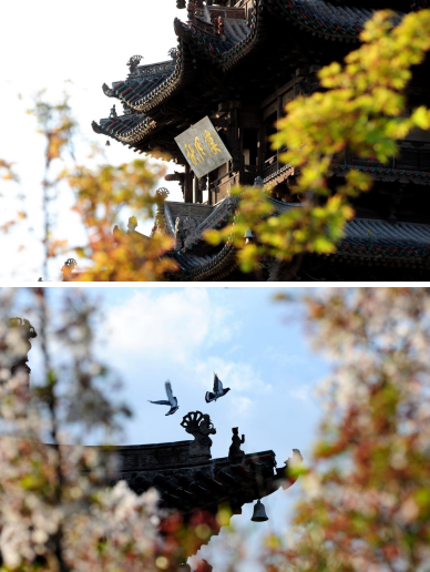 案111222.png