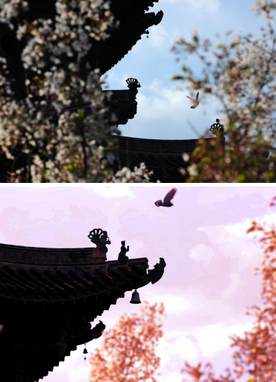 案3344.png