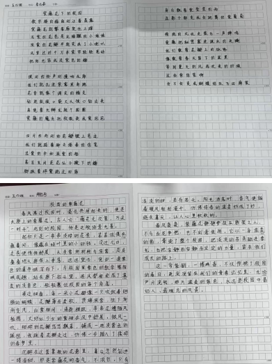 去33333333333.png