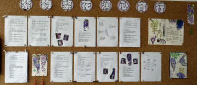 去7777777777777.png