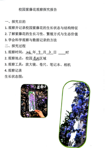 去15.png