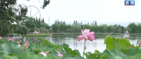 “以水生金”释放夏日消费活力 “好颜值”