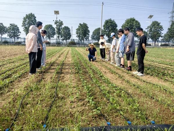 高产竞赛开启农学生“职业生涯第一课”