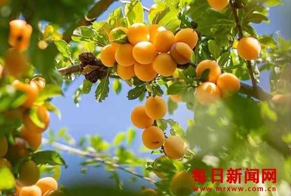 仁言任语 -如何成就全新的自己